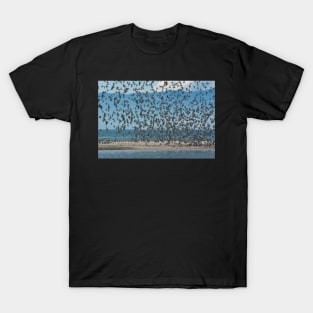 Sea Birds 2 T-Shirt